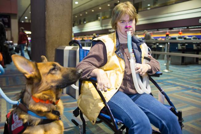 Amy Graves, accompanied by her service dog, Kharma, check in at McCarran International Airport and await their flight to Fort Lauderdale, Fla., Thursday Feb. 5, 2014. Graves, who suffers from muscular dystrophy, was refused a seat by Virgin Air on her original flight because of her ventilator.